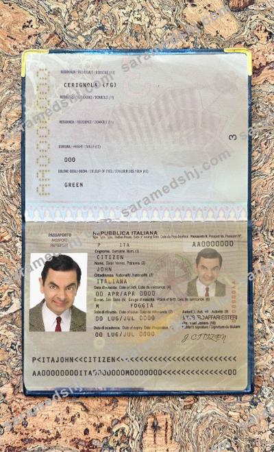Italy passport photo look